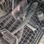 Dishwasher Image 5