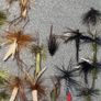 Fly Collection Image 7