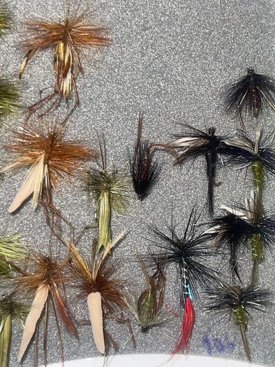 Fly Collection