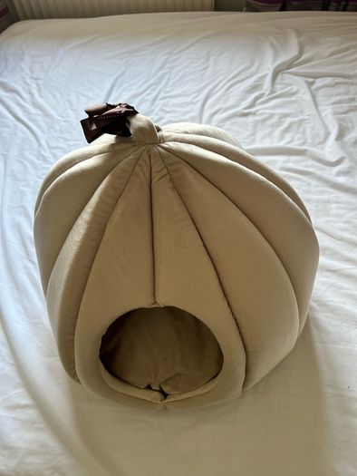 Cat Bed