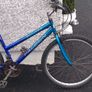 adult bike Image 2