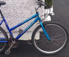 adult bike
