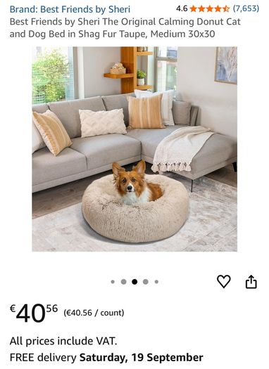 Pet bed