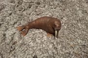 Schleich retired Walrus