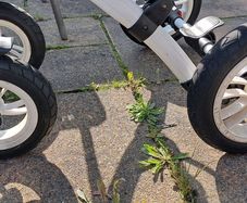baby stroller