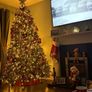 7.5ft Christmas Tree - Pre Lit 1500 lights Image 4