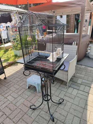 bird cage