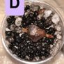 Mystery corms ( read description) Image 4