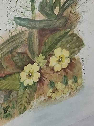 Framed Floral Watercolour