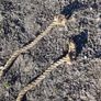 Hay Bogie Ropes Image 7