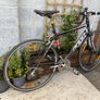 Felt Superlite 54cm 700x25c wheels double breaks 18 speed Image 4