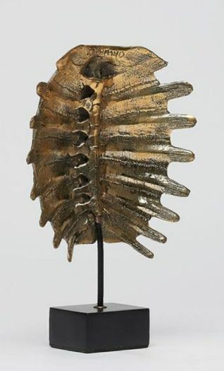 Turtle Shell - Polished Bronze, Signed
