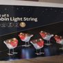 Mains Powered Christmas Robin Lights Image 8