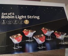 Mains Powered Christmas Robin Lights
