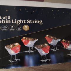 Mains Powered Christmas Robin Lights