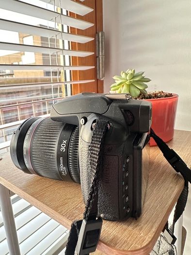 Nikon D5000 DSLR + Fujifilm FinePix 30x Zoom Camera