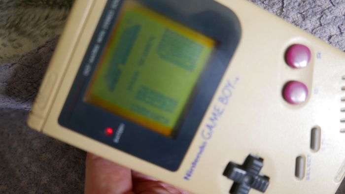 Nintendo Game Boy Launch Edition (works well)
