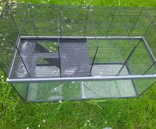 Glass based gerbil tank with mesh upper area.