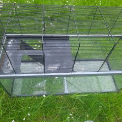 Glass based gerbil tank with mesh upper area.