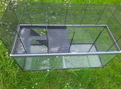 Glass based gerbil tank with mesh upper area.