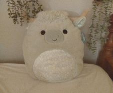 squishmallow