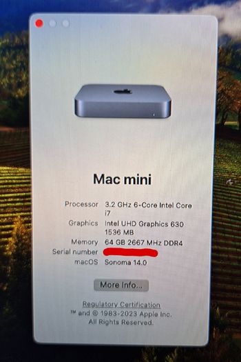 Mac Mini (2020) | 64GB Ram | 512GB Storage