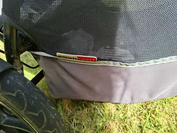 Phil and Ted double buggy