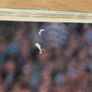 All Ireland Football 1988 Final Cork Vs Meath Match Programme Image 4