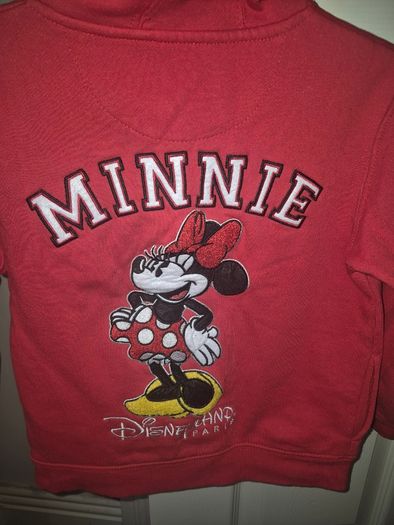 Disneyland paris mini hoodie
