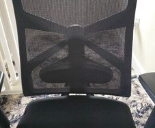Ergonomic Office Chair