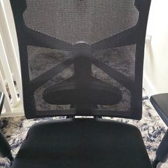 Ergonomic Office Chair