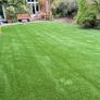 New 40mm Artificial Grass Image 5
