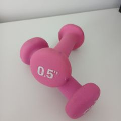 2 Dumbells 0.5kg