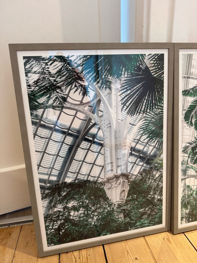 Framed Prints