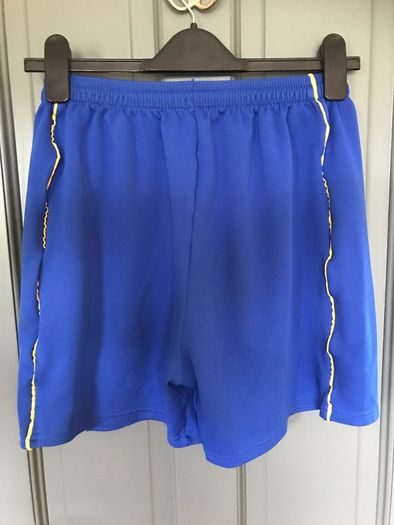Proteam mens sky blue shorts Size XL