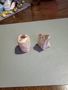 Petrified wood