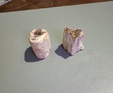 Petrified wood