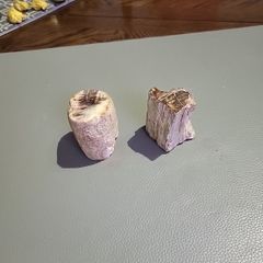 Petrified wood