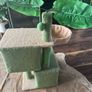 Cat House Image 3