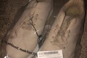shoes New
