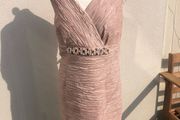 Planet Pink Dress Size 18