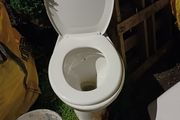 free toilet