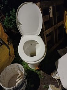 free toilet
