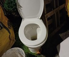 free toilet