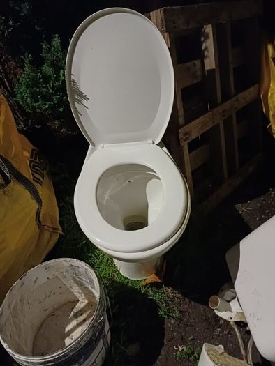 free toilet