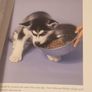 Siberian Huskies New Owners Guide, By Kathleen Kanzler, Hardcover Image 5