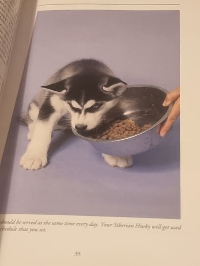 Siberian Huskies New Owners Guide, By Kathleen Kanzler, Hardcover
