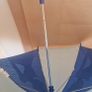 Cinderella Umbrella Image 2