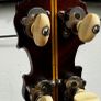 Paramount Leader Tenor banjo Image 7