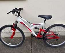 Indi Unleashed Junior Mountain Bike